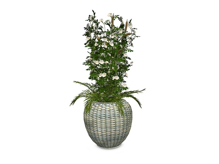 Flowers Wicker Pot - Eveline