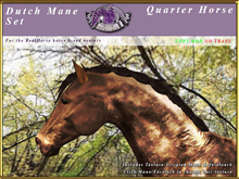*E* RealHorse Dutch Mane Set [BOXED] Quarter Horse