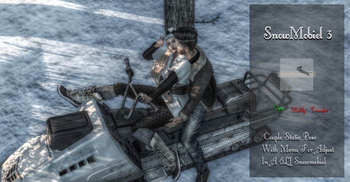 SnowMobiel 3-