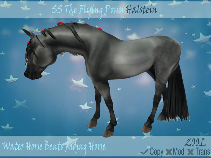 .:SSTFP:. ~WHBRH~ Halstein ~  Unpack Me!!