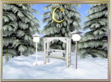winter forest  2017