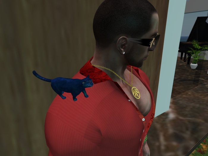 Animated Mesh Shoulder Little Cat Fullblue