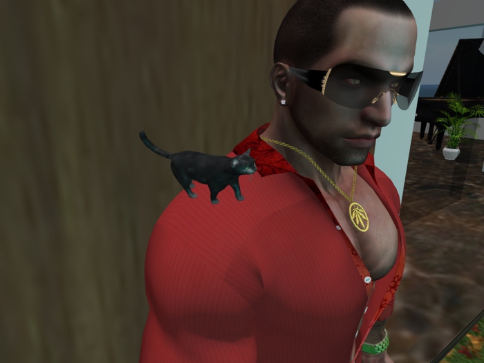 Animated Mesh Shoulder Little Cat Granite