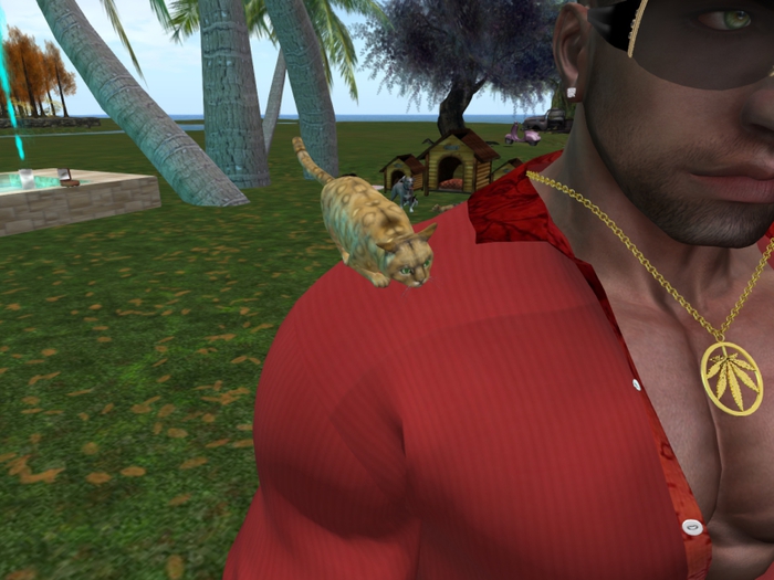 Animated Mesh Shoulder Little Cat Leopard