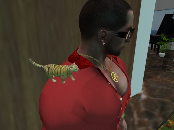 Animated Mesh Shoulder Little Cat Tiger