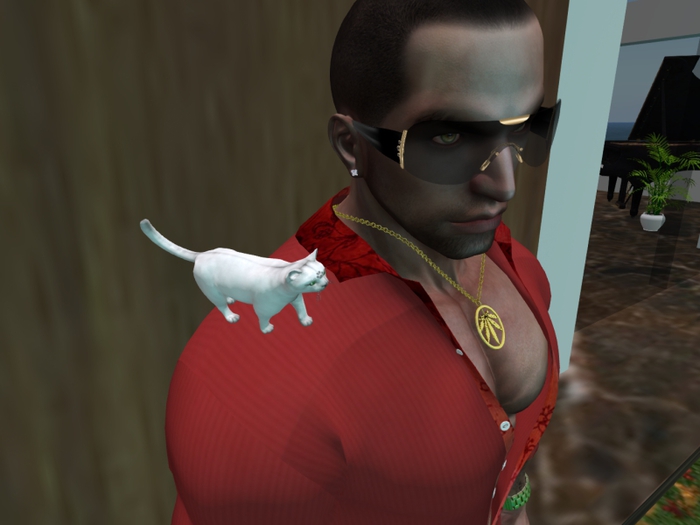 Animated Mesh Shoulder Little Cat Whitepaw