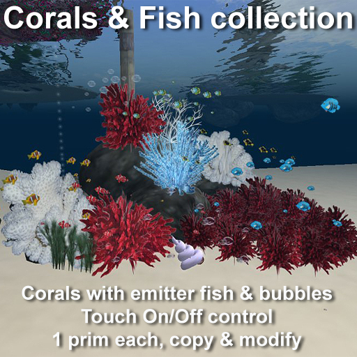 Corals & fish collection