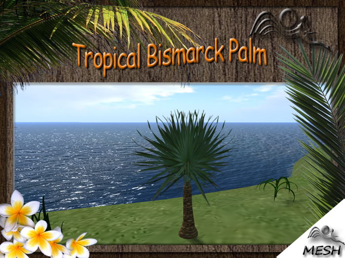 SF Mesh Tropical Bismarck Palm