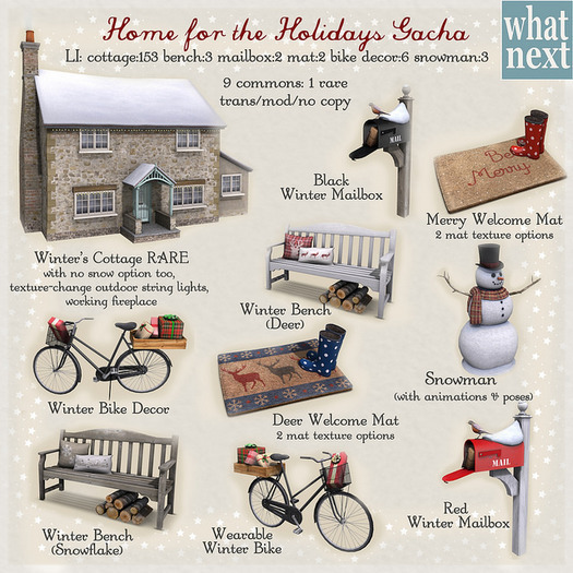 {what next} Winter Bike - Decor (boxed )