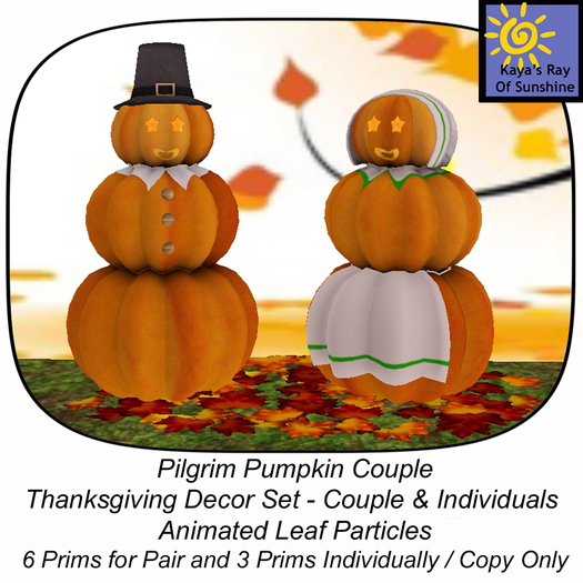 Pilgrim Pumpkin Couple   BOX