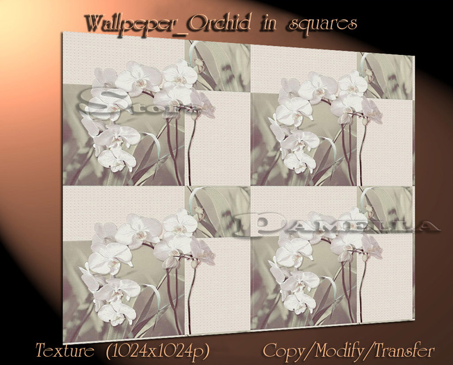 Wallpeper_Orchid in squares