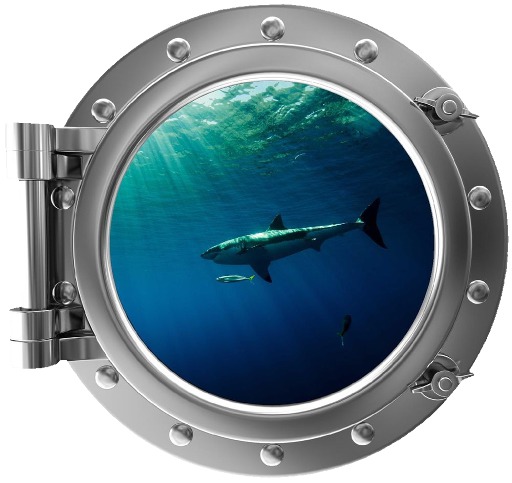 Wall Decor - Porthole Sharks
