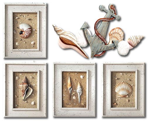 Wall Decor - Shell Collection