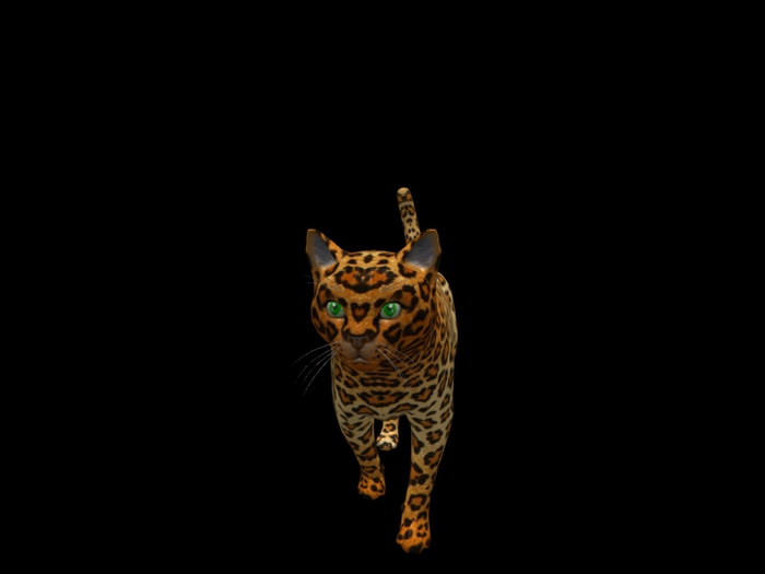 Animated Mesh Cat Pack (Wander,Companion,Shoulder,Animated)Demo