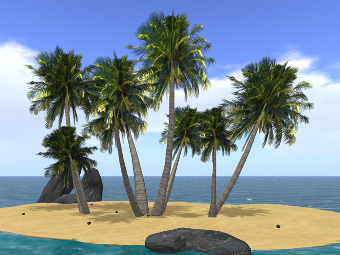 8 Sculpted Palm Trees in 2 Prims!  Shadows, Dropping Coconuts and Sounds Included! 15x25m COPY!