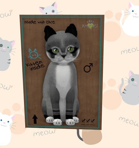 KittyCatS Box - 7 traits ,retired eyes,retired ears,retiredwhis