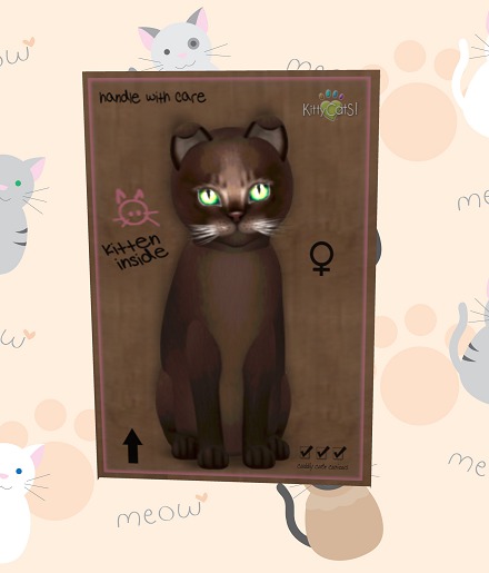 KittyCatS Box - 9 traits,retired eyes,retired ear,retired whike
