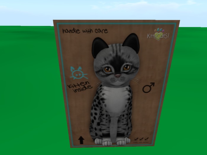 KittyCatS Box - Toy Size