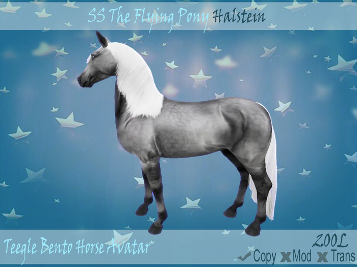 .:SSTFP:. Teegle ~ Halstein ~ Unpack Me!!