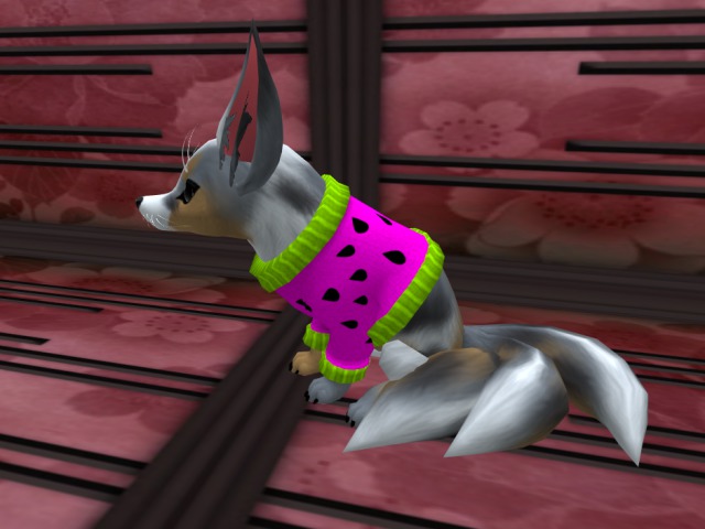 Red Remora - Fennec Fox Sweater - Watermelon