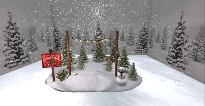 Christmas Trees For Sale set