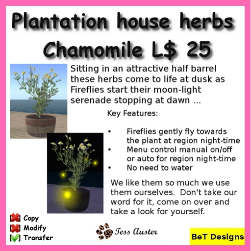 Chamomile with Fireflies