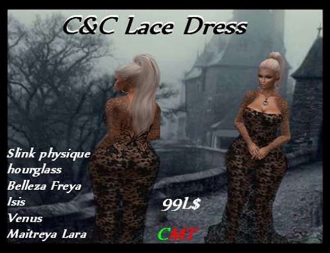 C&C Lace Dress