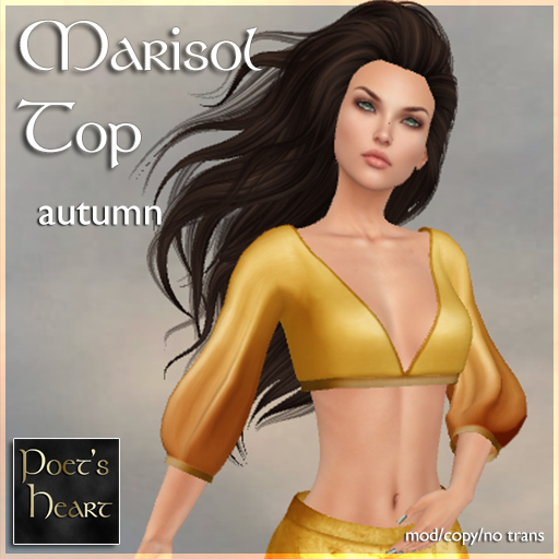 Poet's Heart - Marisol Top - Autumn