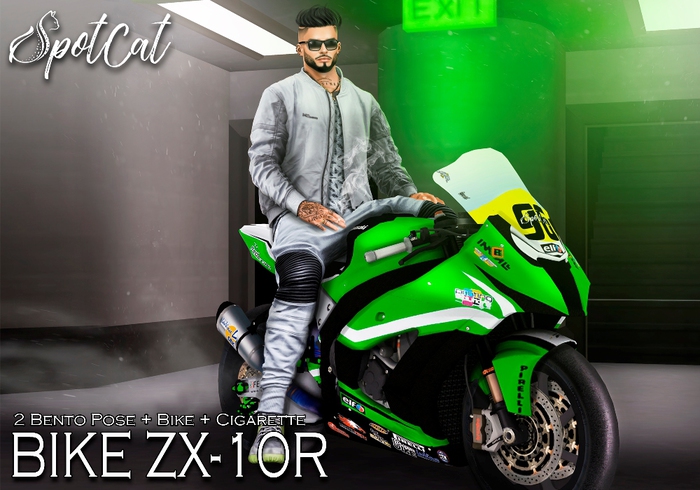 ... SpotCat ... Bento Pose BIKE ZX-10R