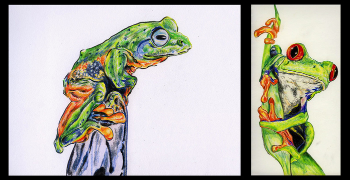 Froggie Sketches