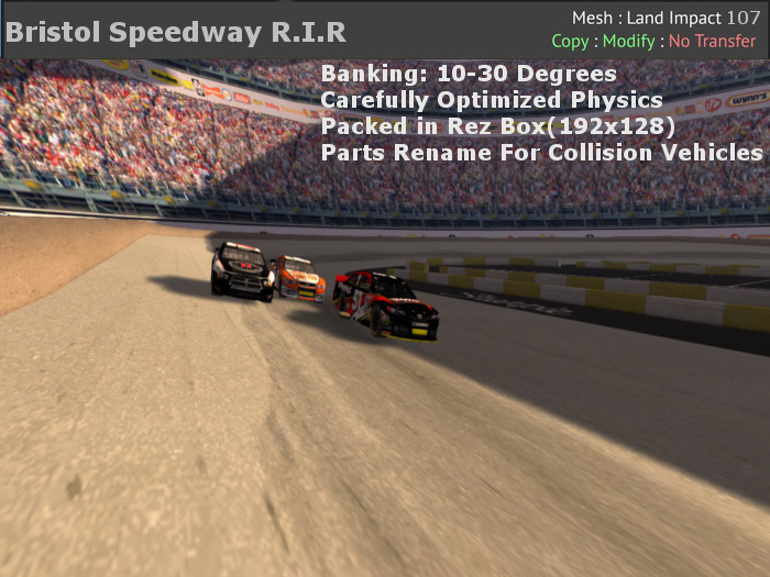 R.I.R Bristol Speedway Oval Track