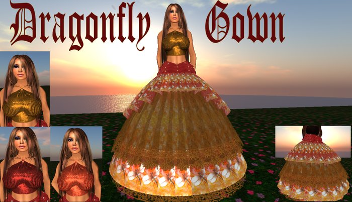 Dragonfly Gown  box