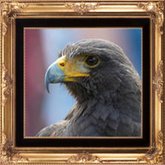 Eagle 2