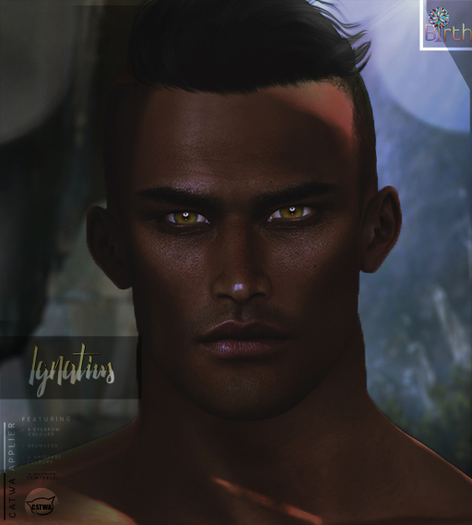 *Birth* 'Ignatius' Catwa Applier - Tone 09