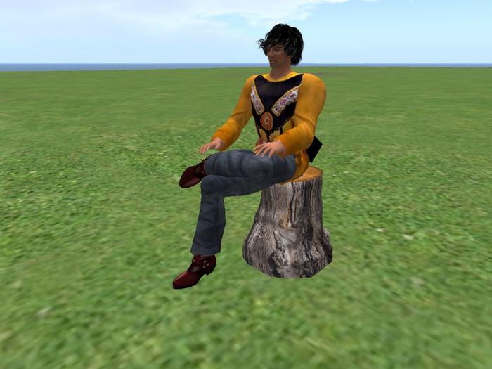 Sit on Stump VS 1   # 841