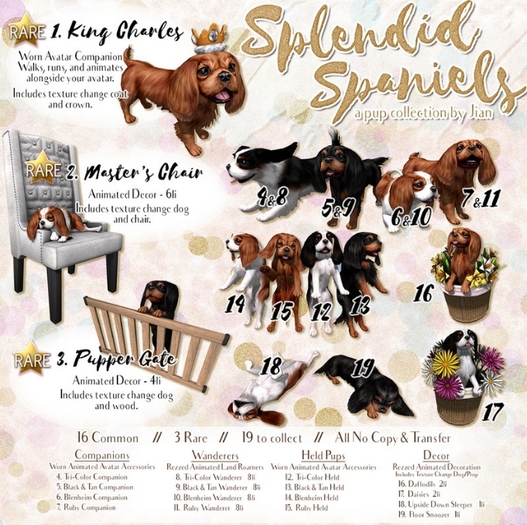 JIAN Splendid Spaniels 1. King Charles (Add me!) RARE