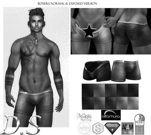 :D.S::. Boxers DEMO