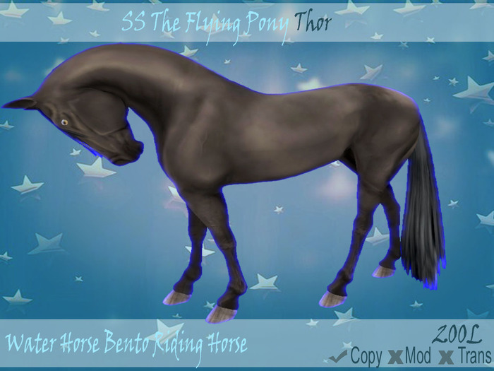 .:SSTFP:. ~WHBRH~ Thor ~ Unpack Me!!