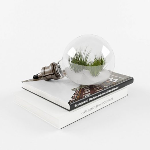 A litte plants scene