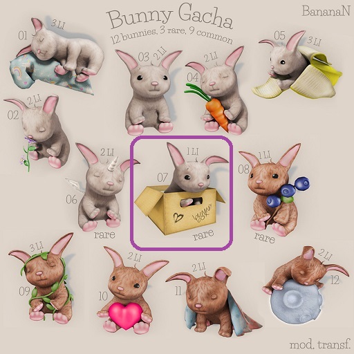 Bunny gacha 07 - box bunny RARE