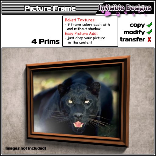 Invisible Designs - Sculpted Picture Frames