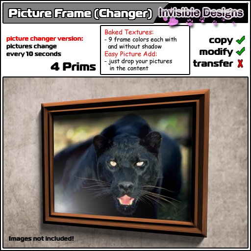 Invisible Designs - Sculpted Picture Changer Frames