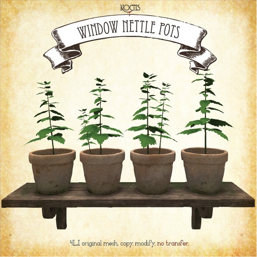 [noctis] pottted window shelf nettles