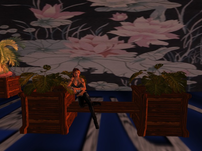 PlanterBench Collection - Philodendron/Poses