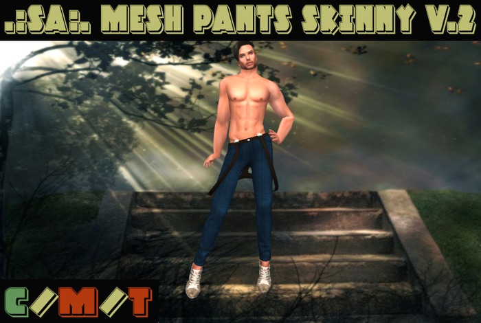 .:SA:. Mesh Pants Skinny V.2