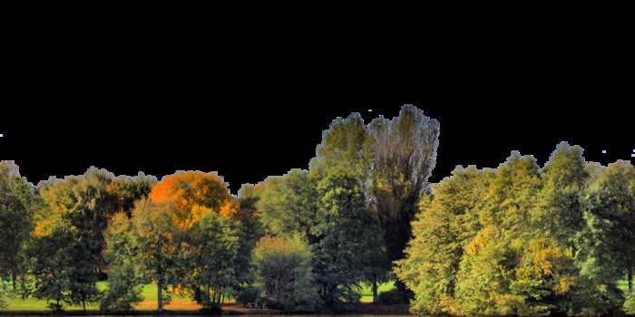 KMR-Forest privacy screen-008 TEXTURE