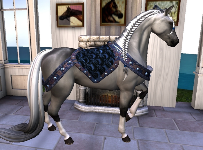 Rococo - Baroque Parade Tack - Midnight Elegance Set