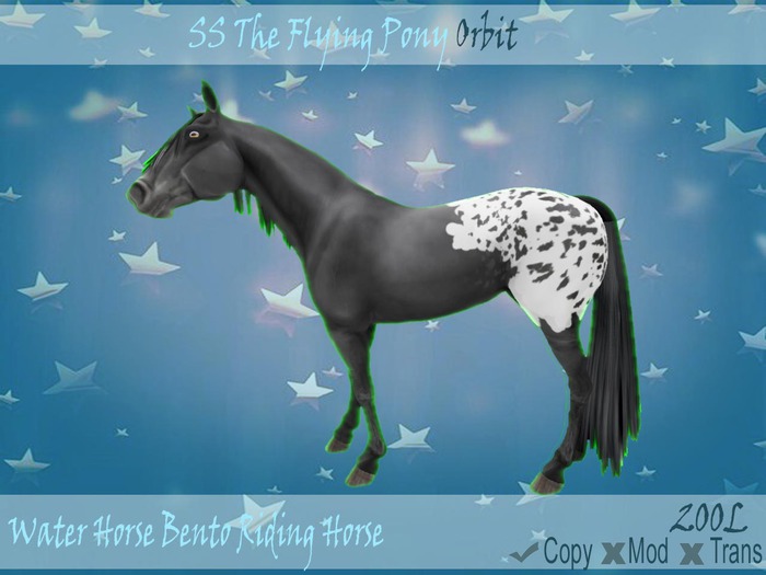 .:SSTFP:. WHBRH ~ Orbit ~