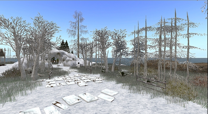 New Winter forest path