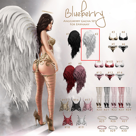 #2 Blueberry - Angelberry - RARE - Wings - Pure *Maitreya*